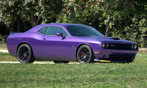 Challenger crazy plum. Things To Know About Challenger crazy plum. 
